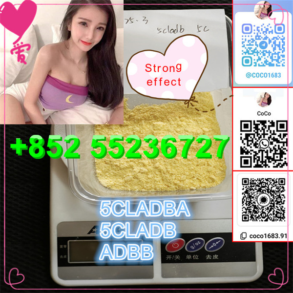 微信图片_20250410111050_副本_副本