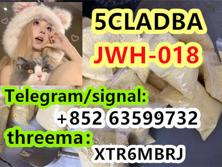 001b5381-eb40-492c-b6e1-5cee90cb53a9