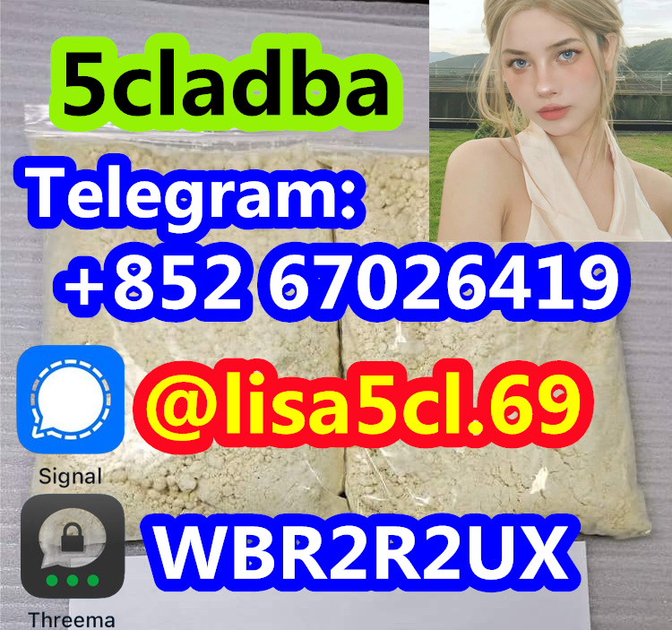 06c91e6d-a42d-4071-b20c-cbfff06fdf00