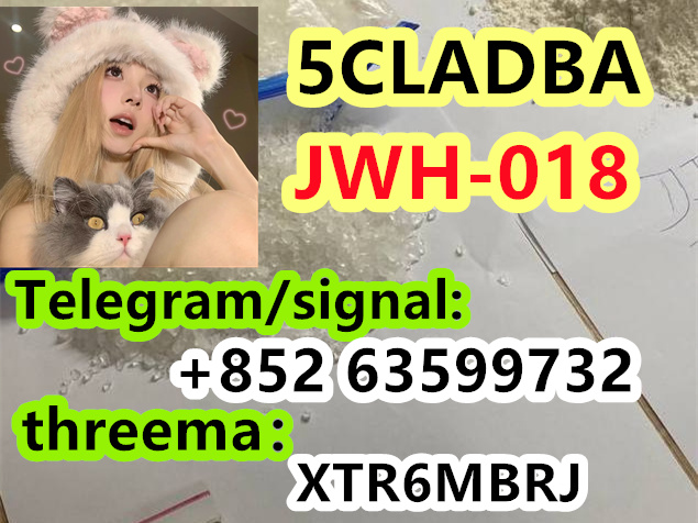 0d02d6e8-adaa-4ba8-bd9d-2b6ba3bd36be