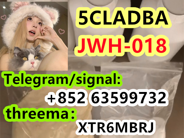 16c76b5d-ea09-4181-85e6-3d2565fde802