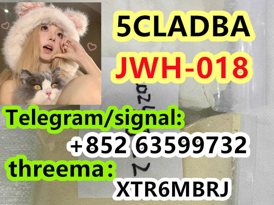 1b4a89f6-dc1f-413e-810c-e28ad784701a