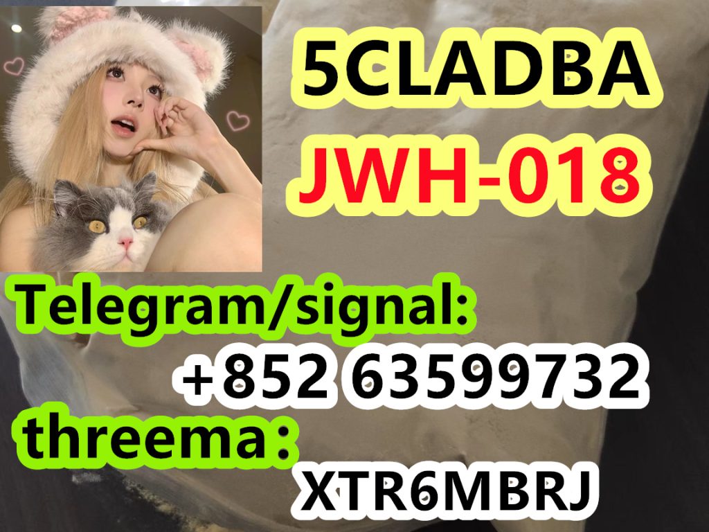 2744f78b-a57c-4b39-ba49-74684ee78c32