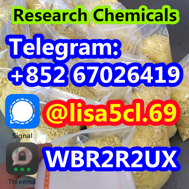 354038329_730366715761435_8078135269278934356_n_副本