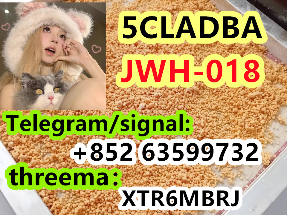 38d5e73f-1948-45a7-946f-0491396547ad