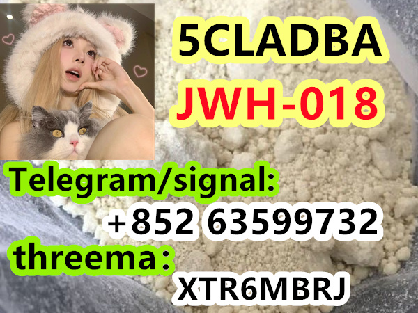 3bf20777-8f22-4788-a023-116b81f45389