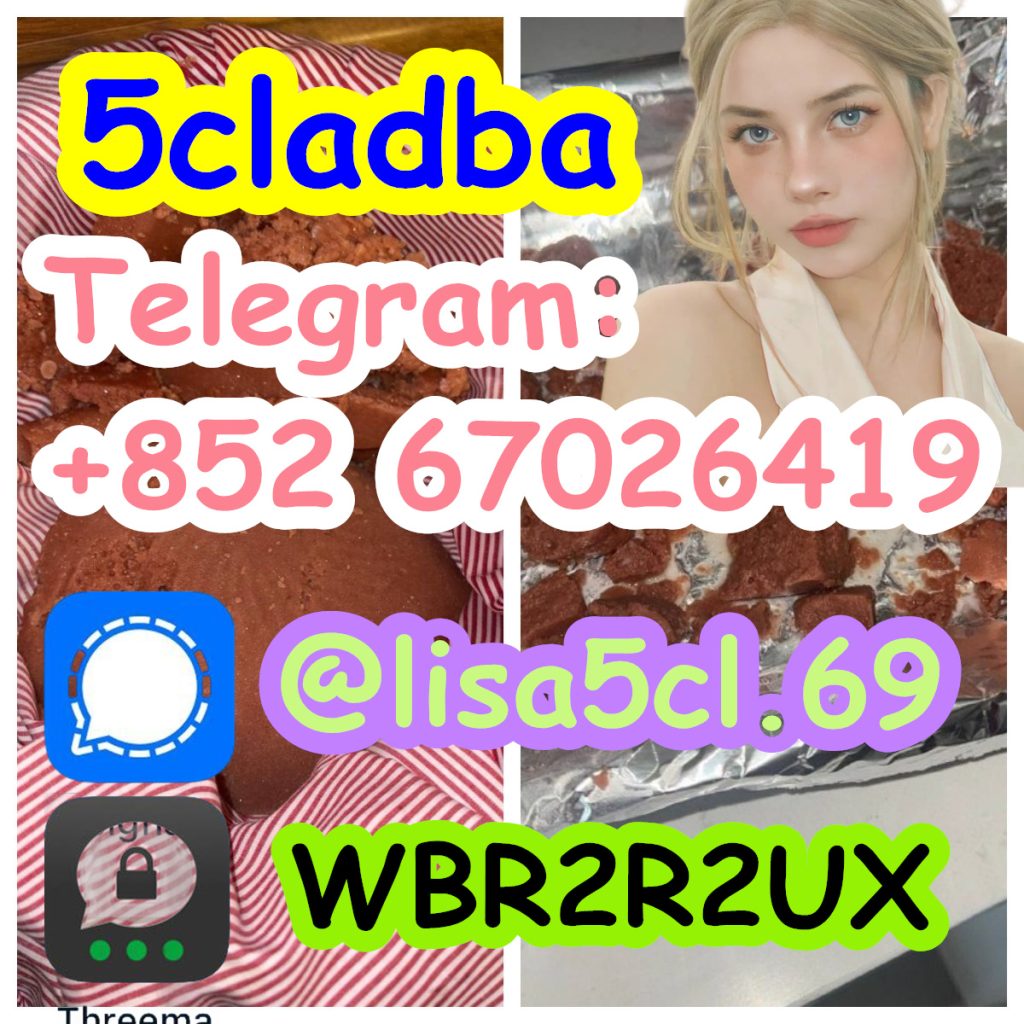 418bffa0-1b58-4d84-9f02-27a8bf55d687_副本3