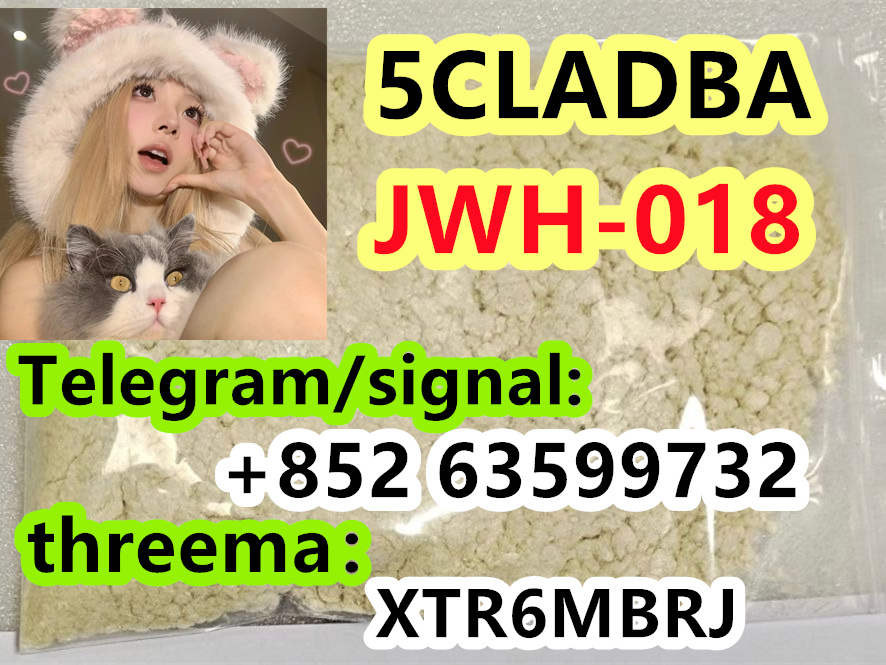 46243527-c9c3-4c17-81f8-64672a3ea0d5