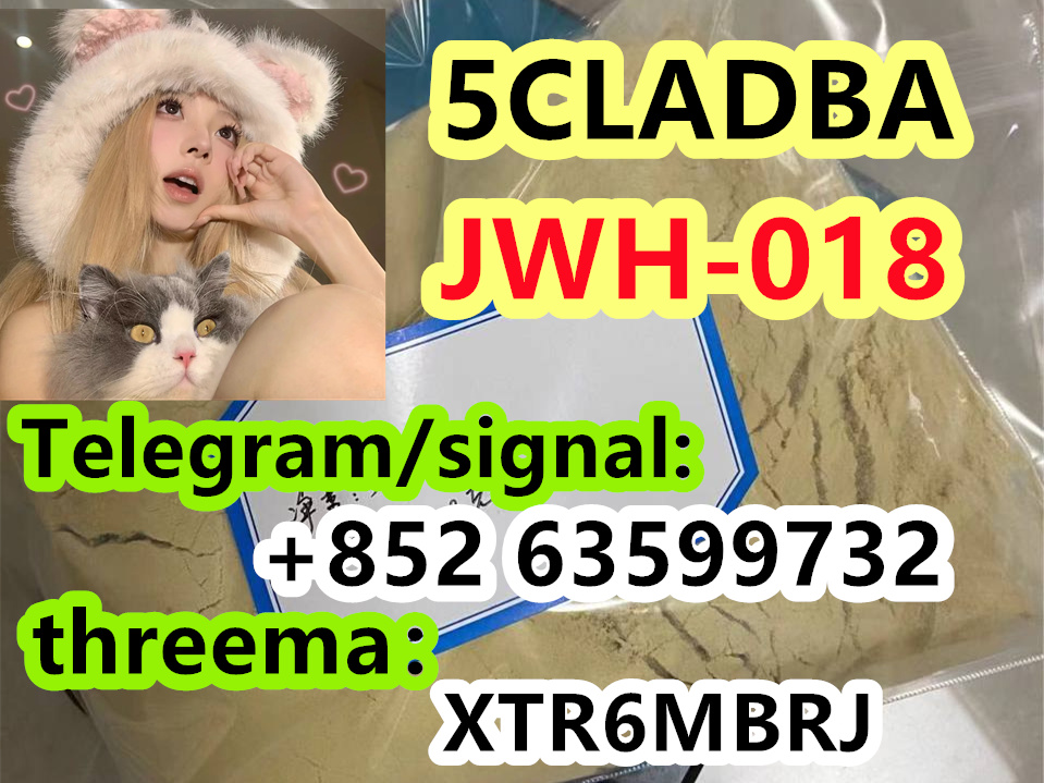 4a624262-0b7e-4b59-b355-06ee12490f3e