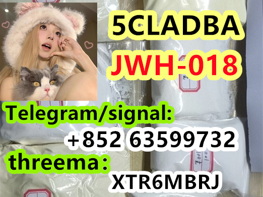 5bcdce96-d03d-4051-99ff-2deef2f41e69