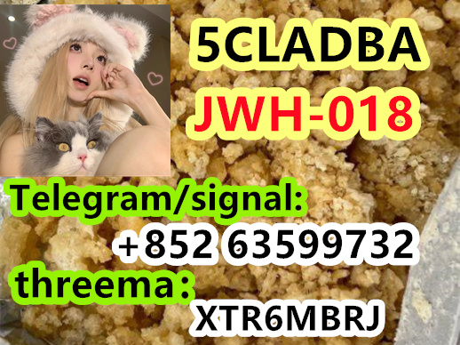 6e849040-280f-4222-a888-83dab529c242