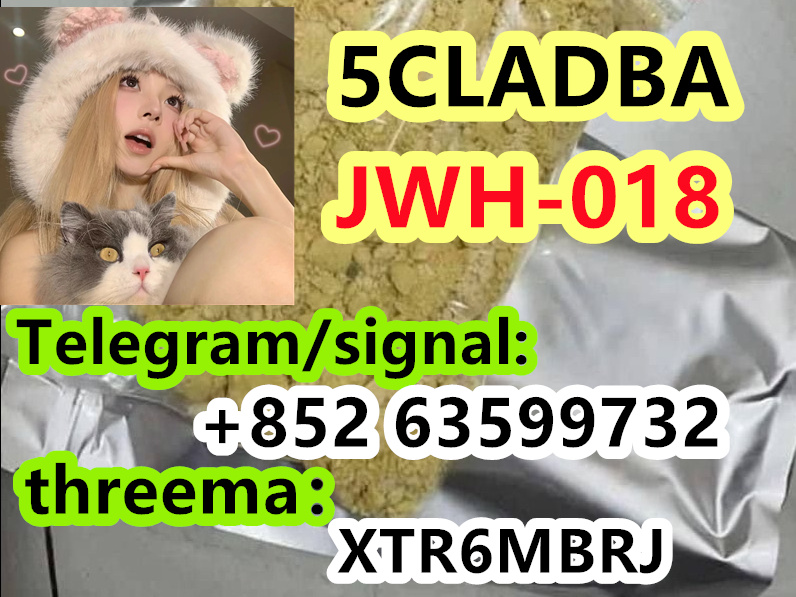 7e53e7b3-c050-4505-be8d-e69a0ba25b90