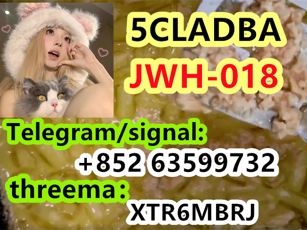 872e49e7-c226-4153-86b6-8a2dbaed36f9