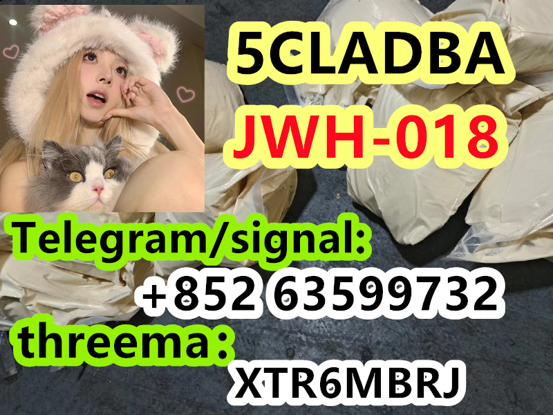 8a181a6c-42ac-4496-955d-5d4aaab95632