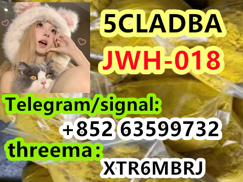 8a6d8f94-4a6a-45d0-910b-791e6eed6fbe