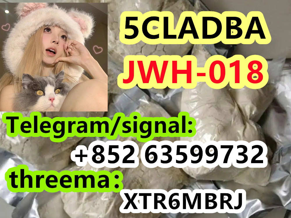 9b47e07d-8de9-4051-8baf-239385a95729