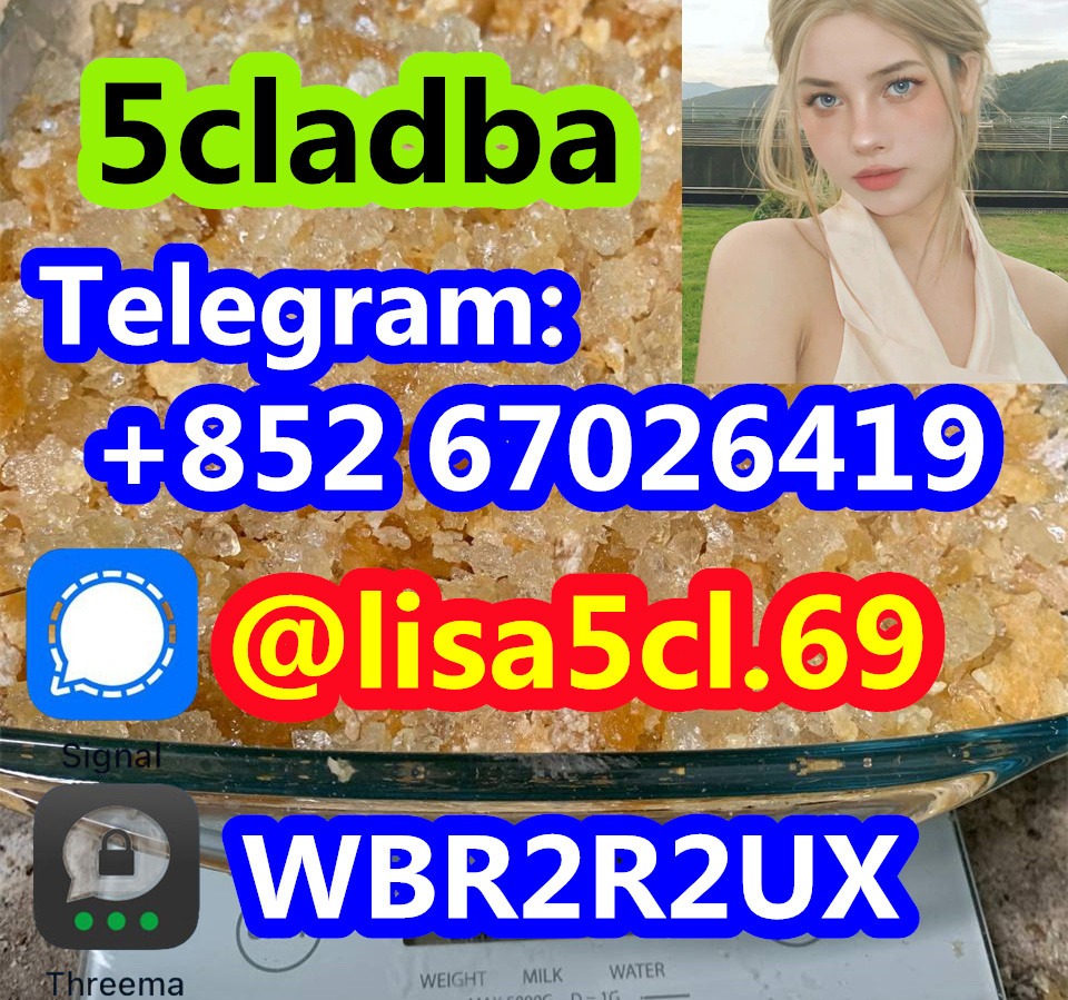 9b81125a-2e8b-4ab5-a46a-8d5e36076df4