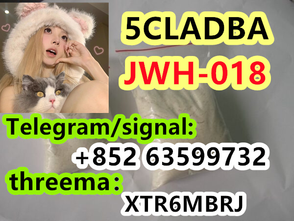 b8304b3f-e1f3-48d4-bcf5-fd10119b6f6d