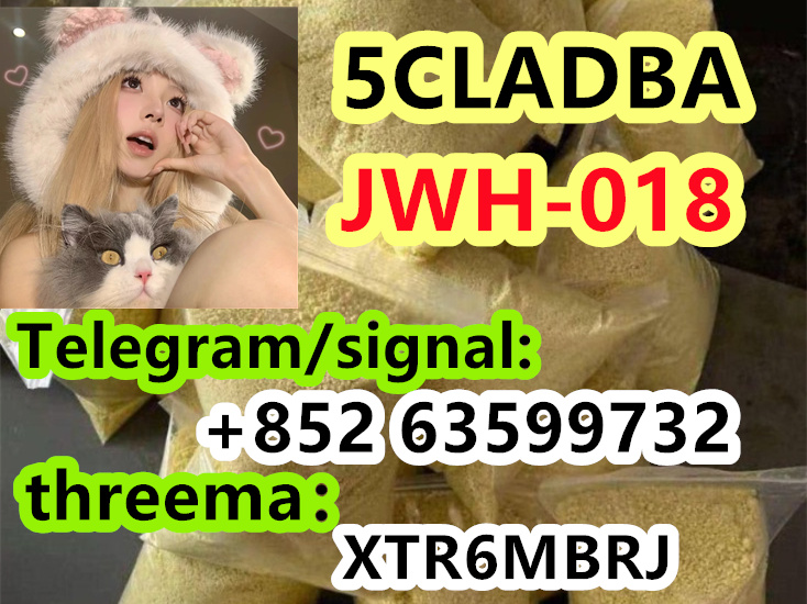 d14f466d-be92-40ff-81ad-2001a2236901