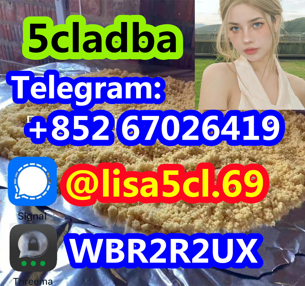 dd4e77e5-d461-432f-8865-e28ff5e1cd91