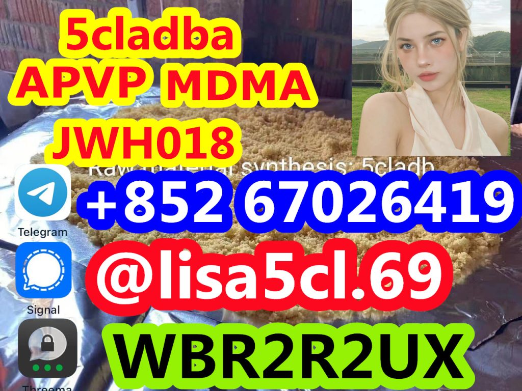 dd4e77e5-d461-432f-8865-e28ff5e1cd91