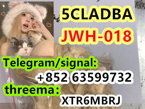 f6659061-8ab5-43bd-8c29-321d5c3630e3