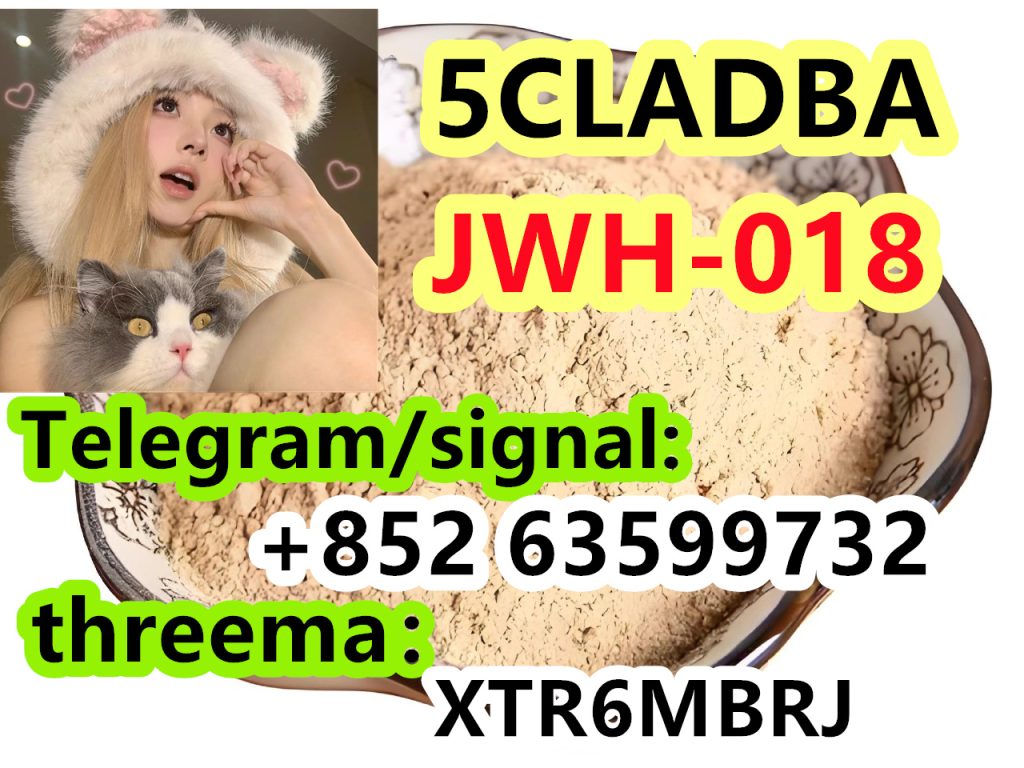 photo_2024-09-14_17-08-47