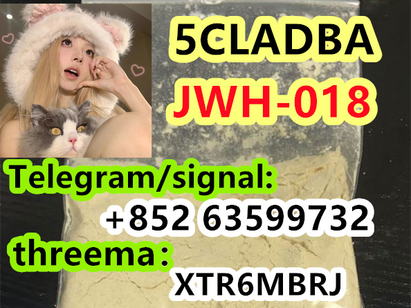 photo_2024-09-14_17-09-59