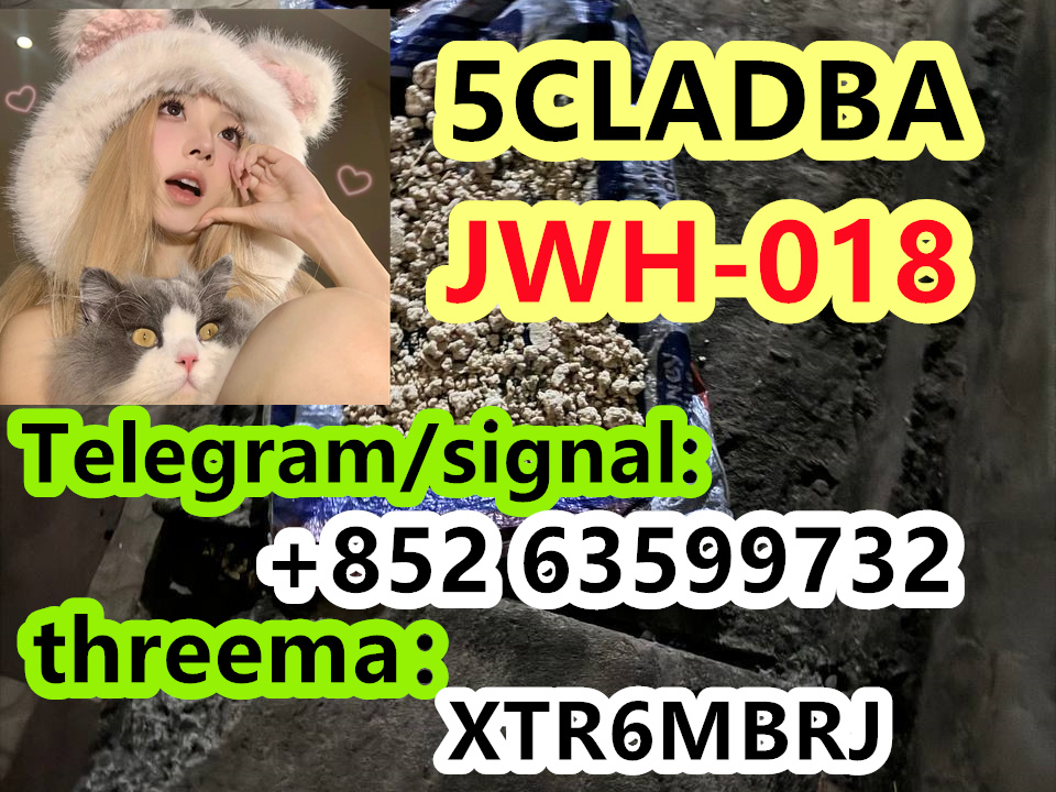 photo_2025-01-06_11-54-06