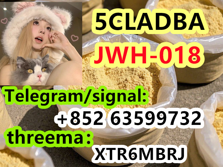 photo_2025-03-25_09-48-59