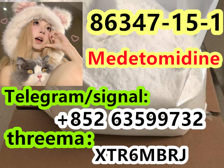 photo_2025-03-26_15-20-58