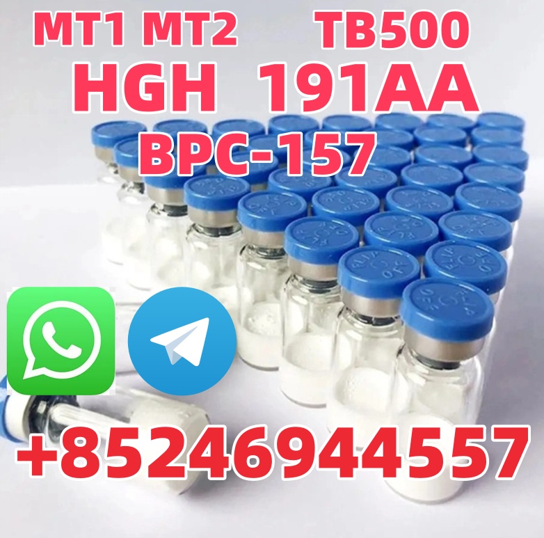 Semaglutide- (1)_副本