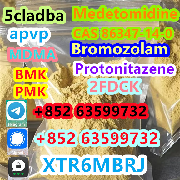 06b855ec-6d0c-4098-91bf-27c88d26dcd9