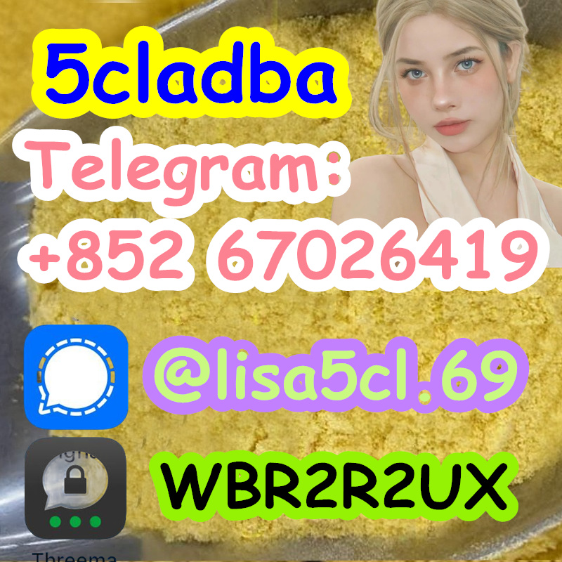 1233491-business-product-k0h0hkflb4nt1738460997-1200