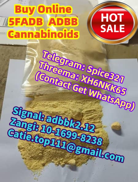 1697001613971_副本