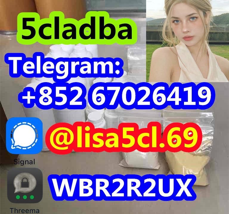 421466697_122113589702178946_5180382932126973406_n