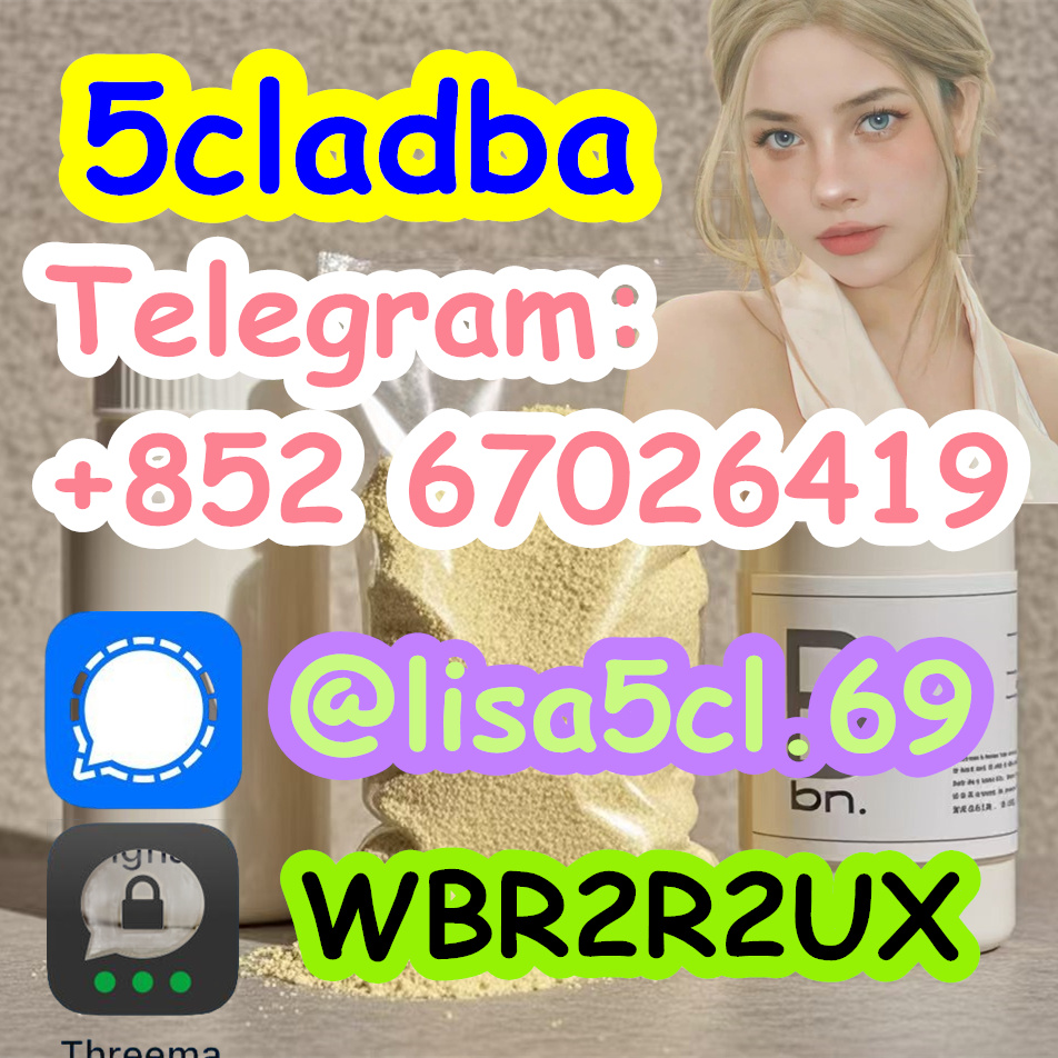 5289c819-82d6-41be-9d3b-7a1d8974e39f_副本2