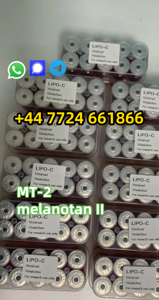 ff7d3c7d54e6a3ef3ec1b3fb0e199ab