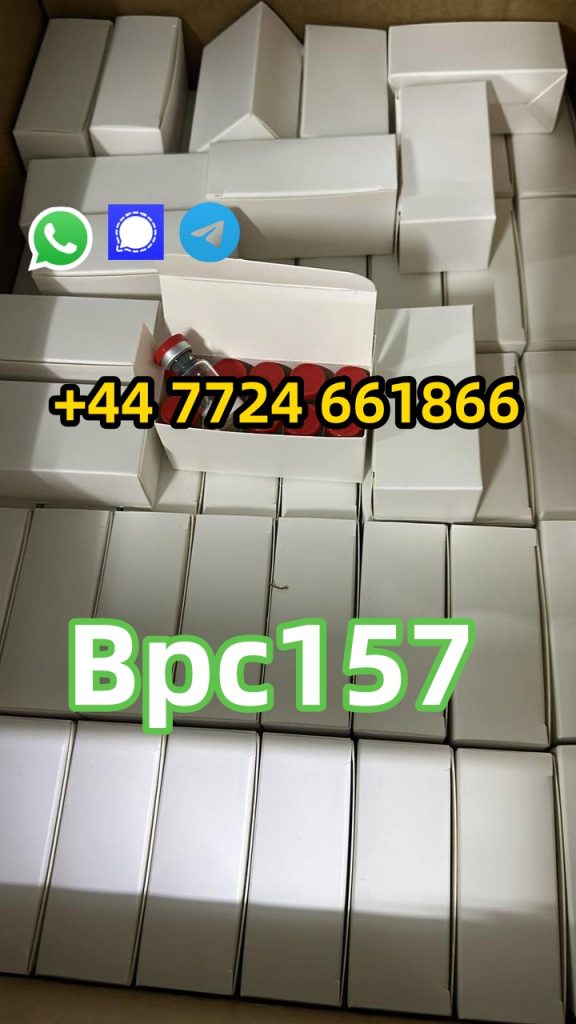 photo_6174461215867256314_y (1)