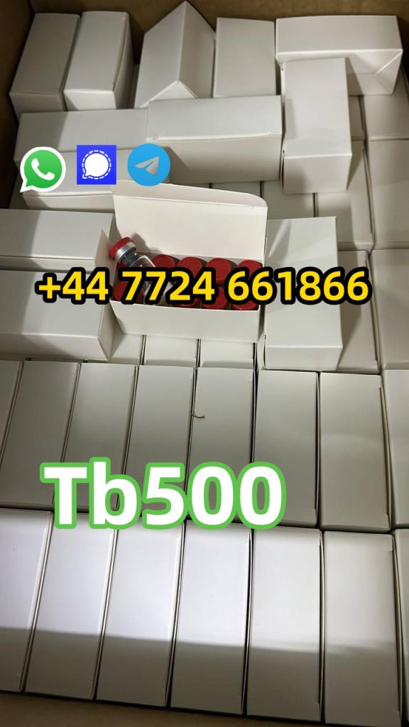 photo_6174461215867256314_y (1)