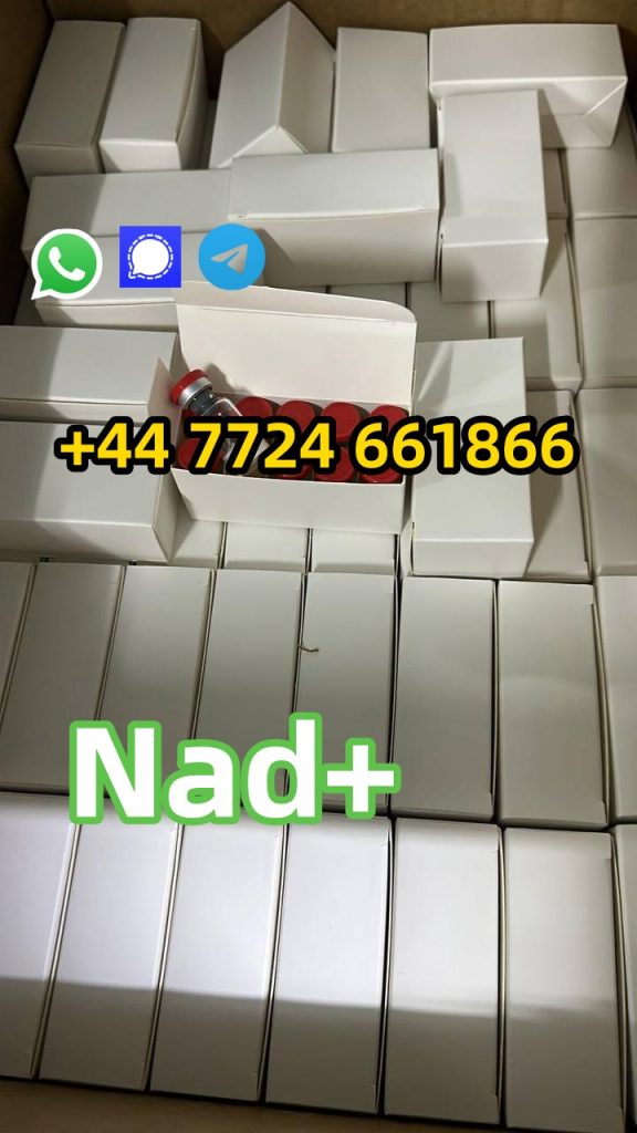 photo_6174461215867256314_y (1)