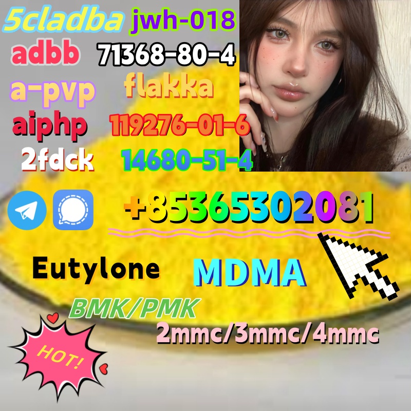 1 (1) – 副本 – 副本