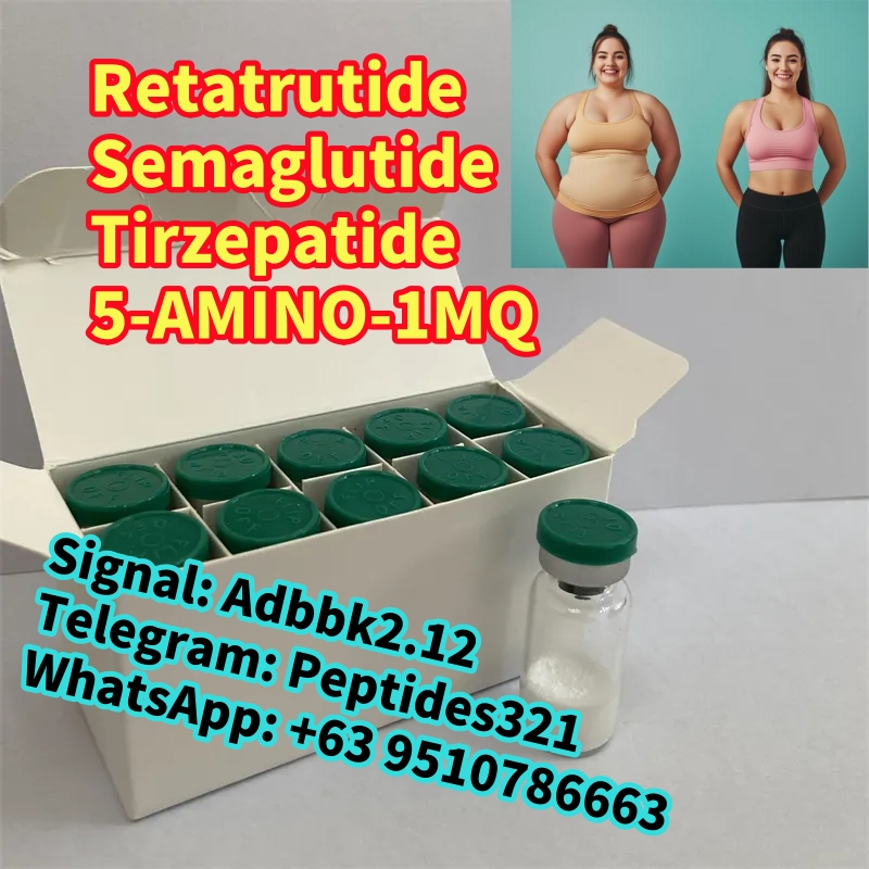 1740369447392_副本