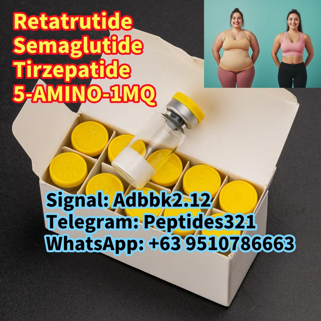 1740369497357_副本