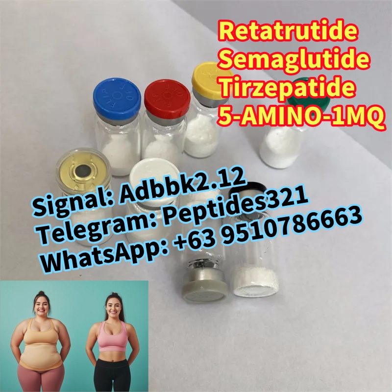 1740369514664_副本