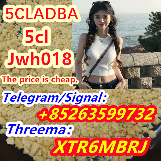 2a44c833-e51a-4e0b-b5a5-da9969531b2a