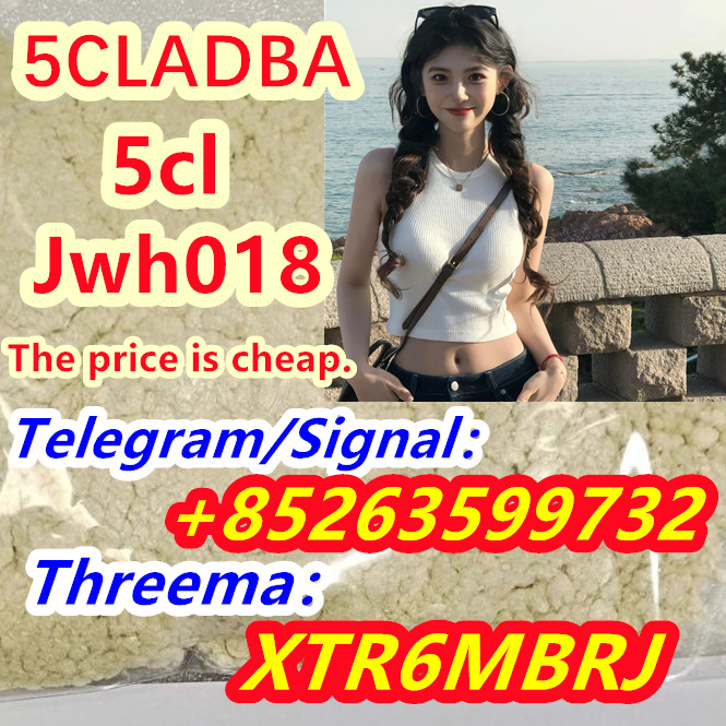 46243527-c9c3-4c17-81f8-64672a3ea0d5