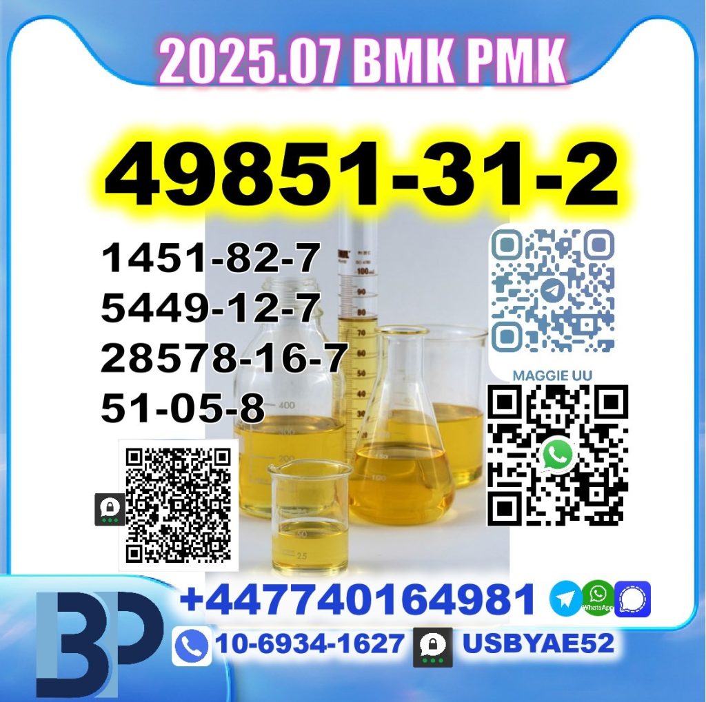 49851-31-2 bmk pmk 2