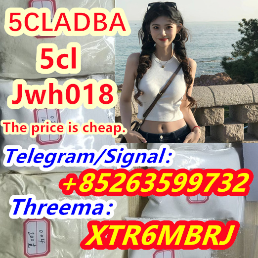 5bcdce96-d03d-4051-99ff-2deef2f41e69