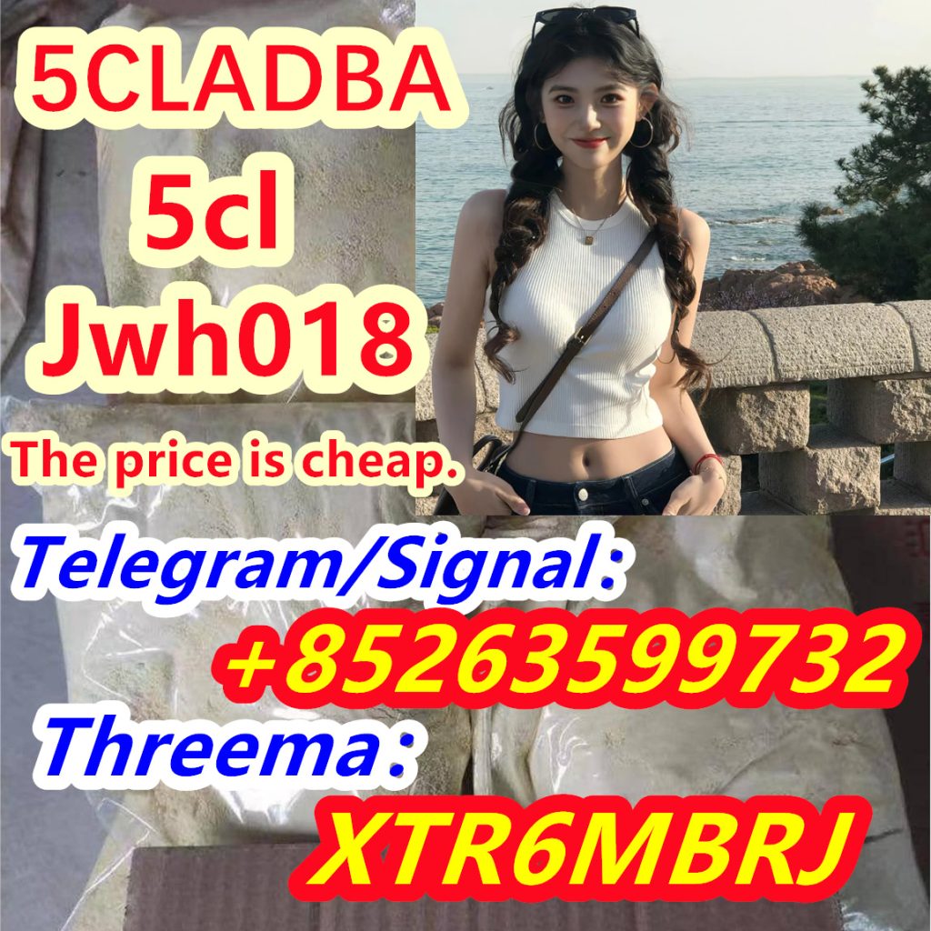 772ca144-ad88-4f74-b034-32bf3a3020d4